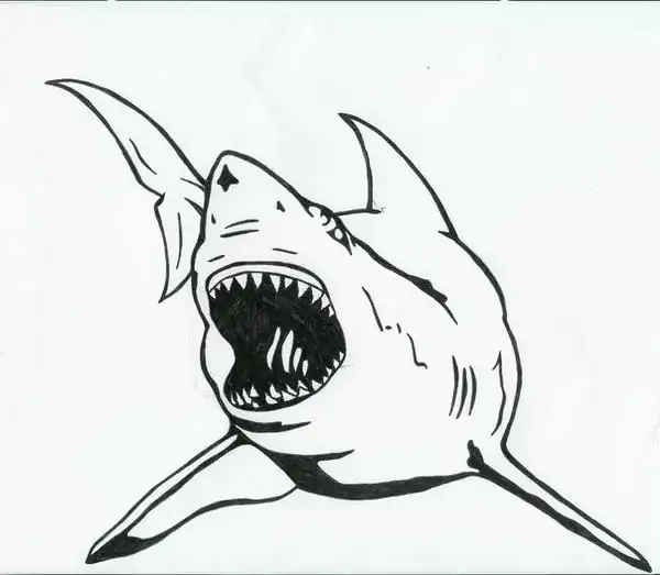 Great_White_Shark_tattoo_by_karadarkthorn.webp