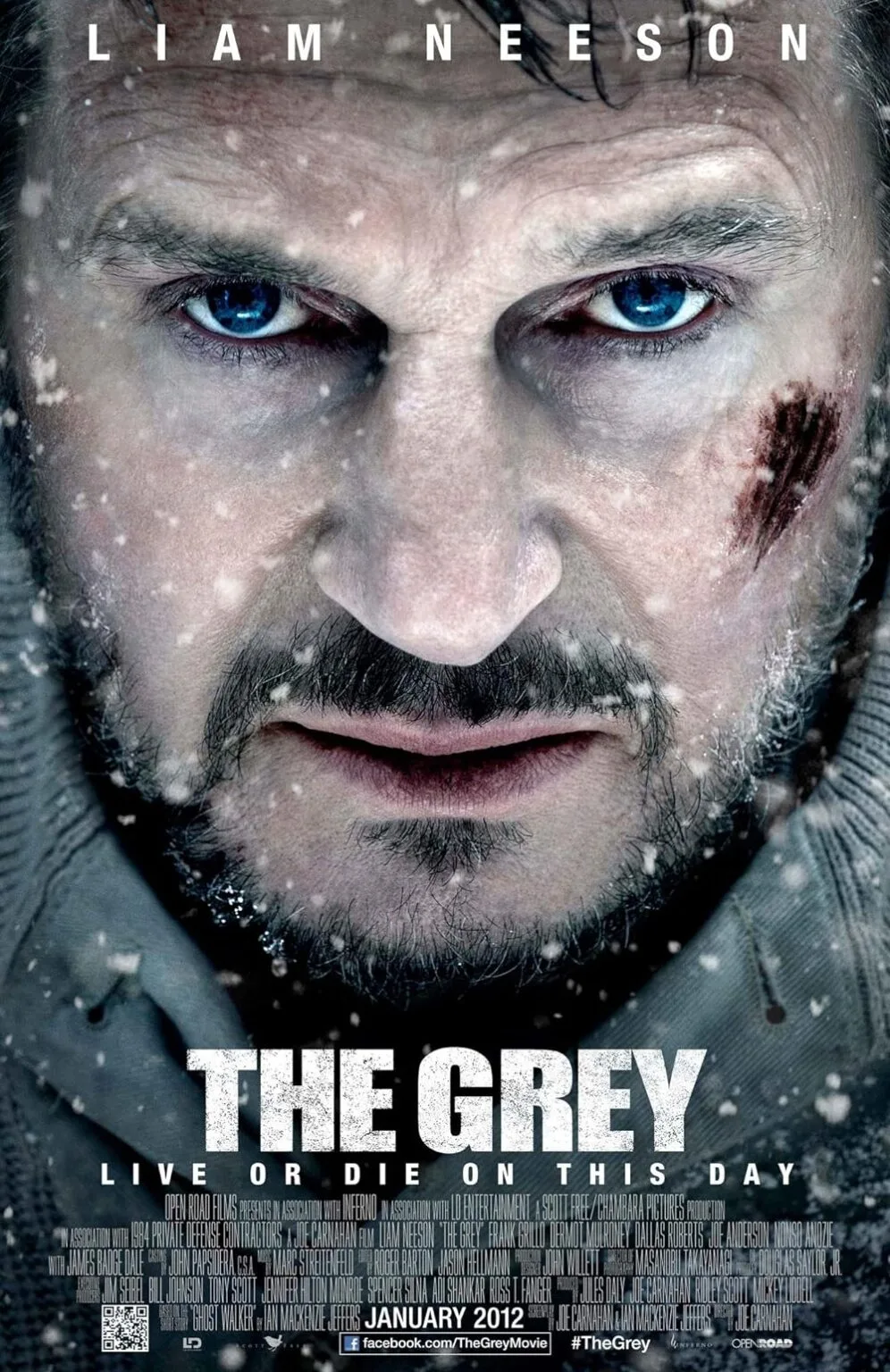 Grey-996x1536.webp