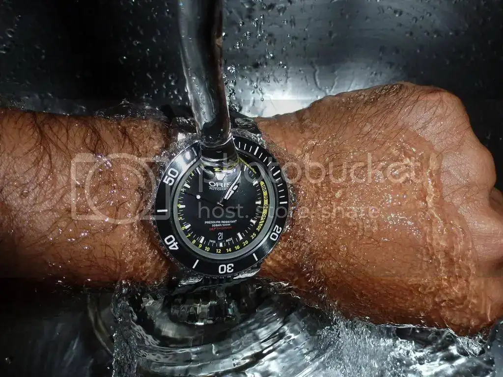 Grifo-2_zpsa02cfc28.webp