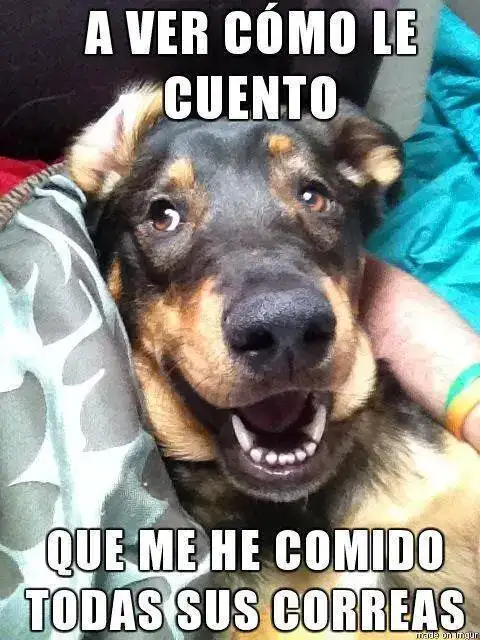 GrLhgWy.webp