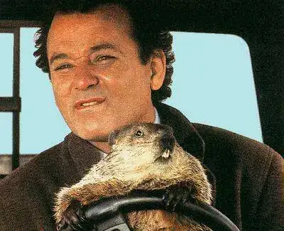groundhog_day.webp