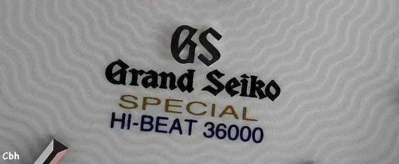 gs10.webp