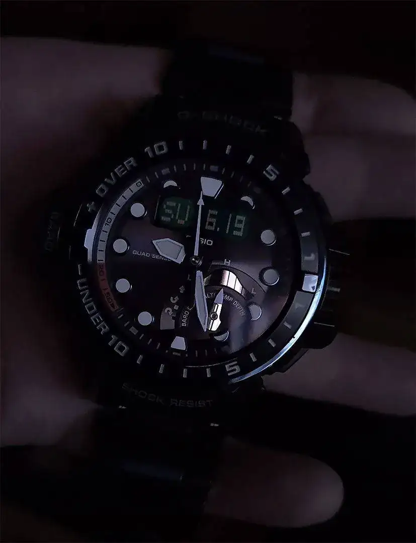 GulfMaster Quad Q1000MC 2.jpg