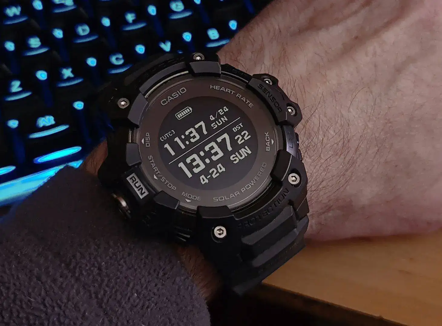 H1000.jpg