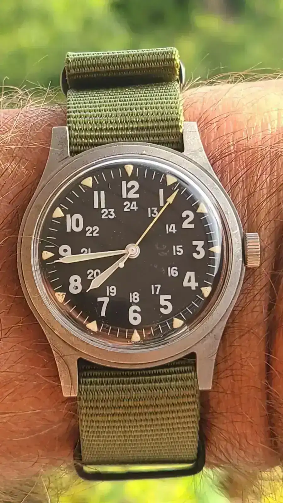 HAMILTON GGW113.webp