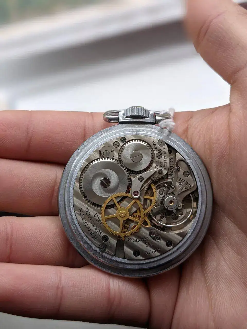 Hamilton movement.webp