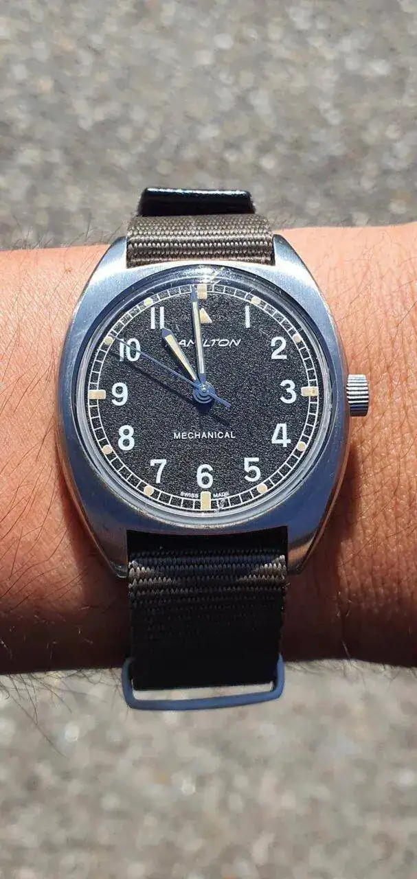 hamilton pilot.webp