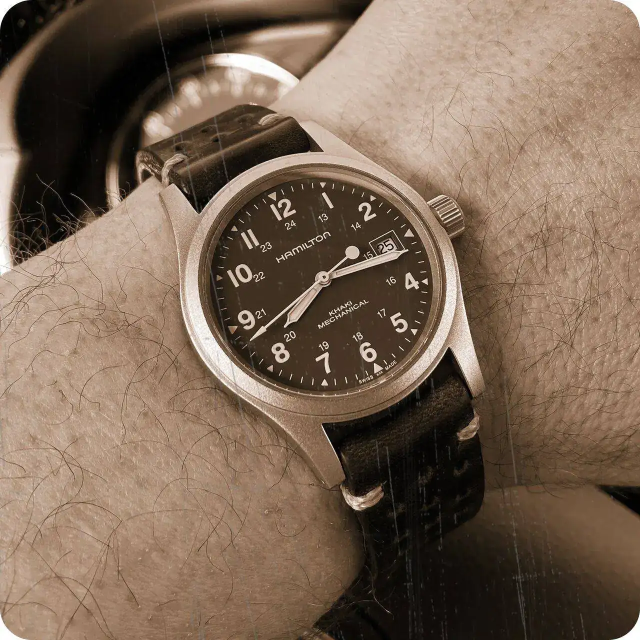 Hamilton_Khaki.webp