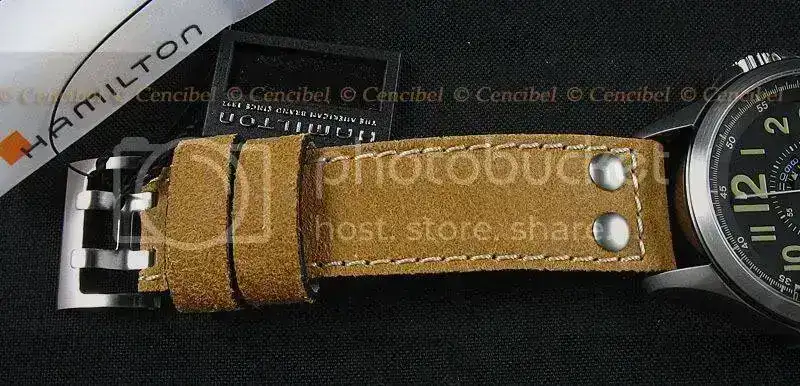 HamiltonGMTConservationH77565833-8.webp