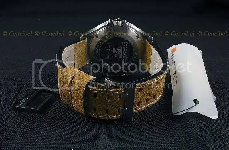 HamiltonGMTConservationH77565833fot.webp