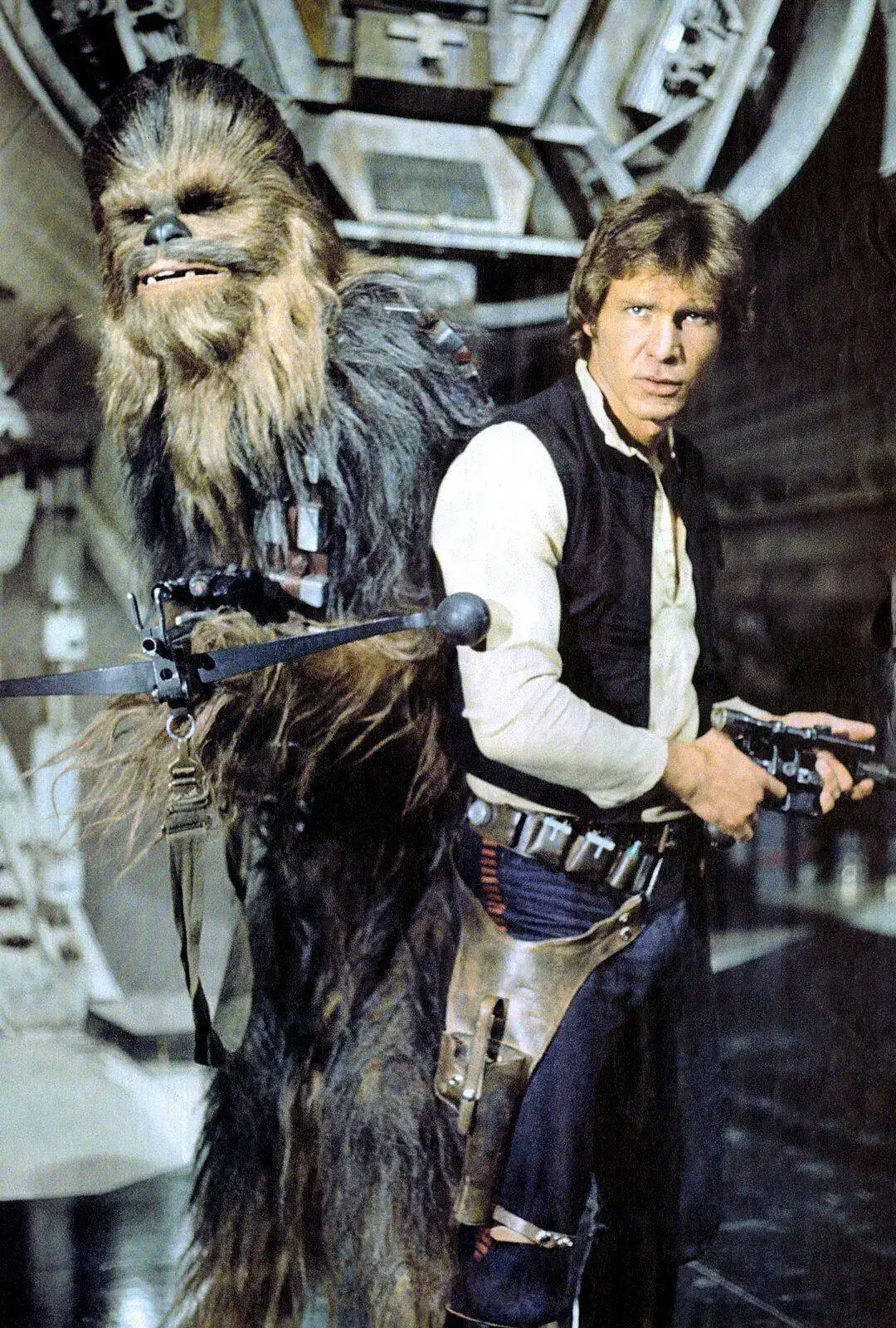 han.jpg_original.webp