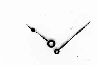 hands_lll16si.webp