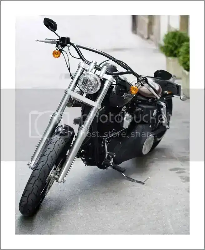 HARLEYDAVIDSON_00301.webp