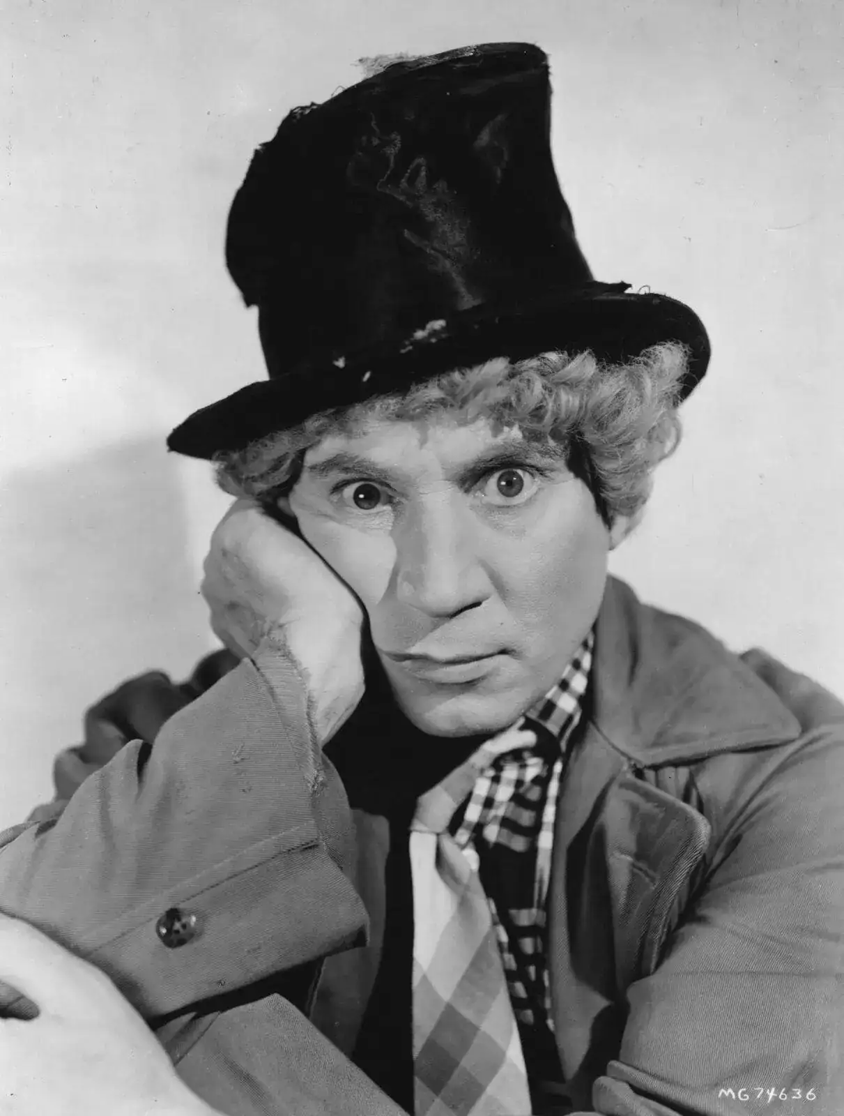 harpo.webp