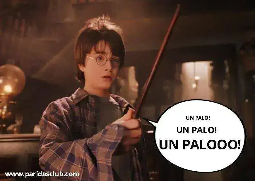 Harry-Potter-un-palo.webp
