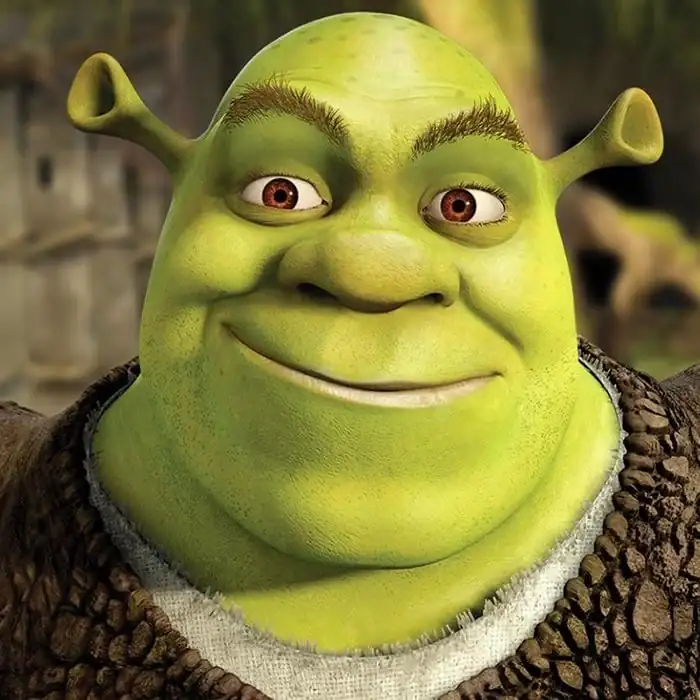 HEAD-Shrek-reboot.webp