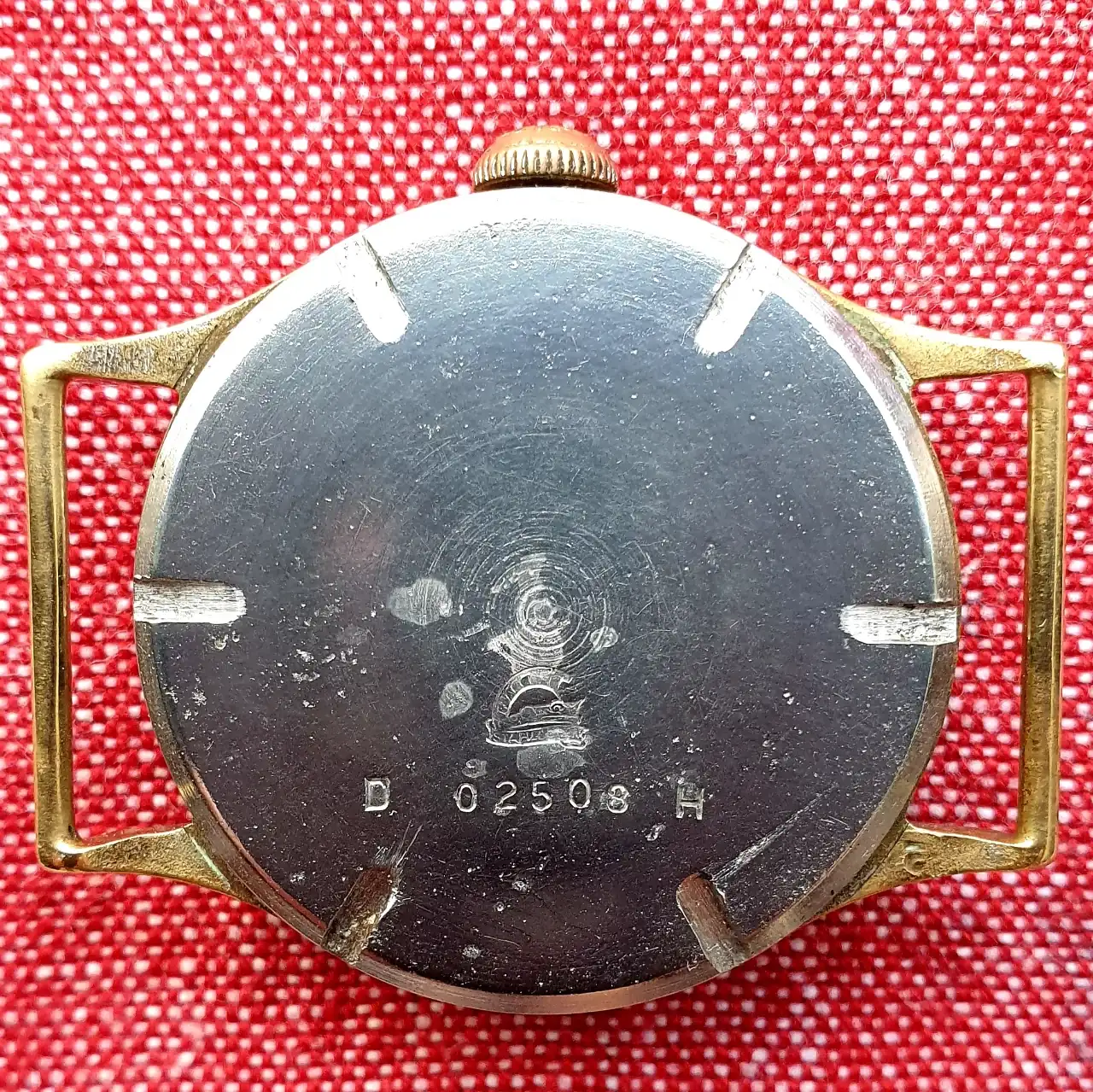 HELMA 2, (1.9 µSv-h radiation) .webp