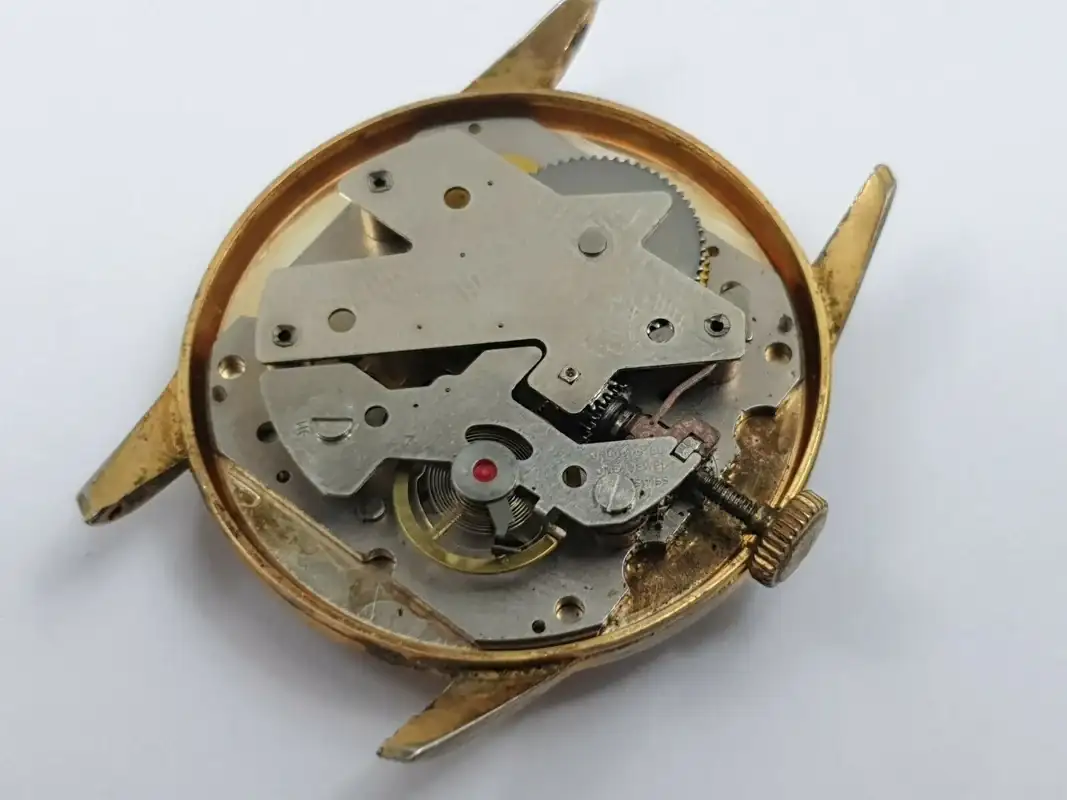 Helsa-1-jewel.webp