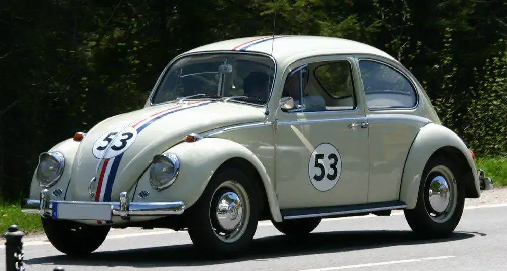 Herbie.webp
