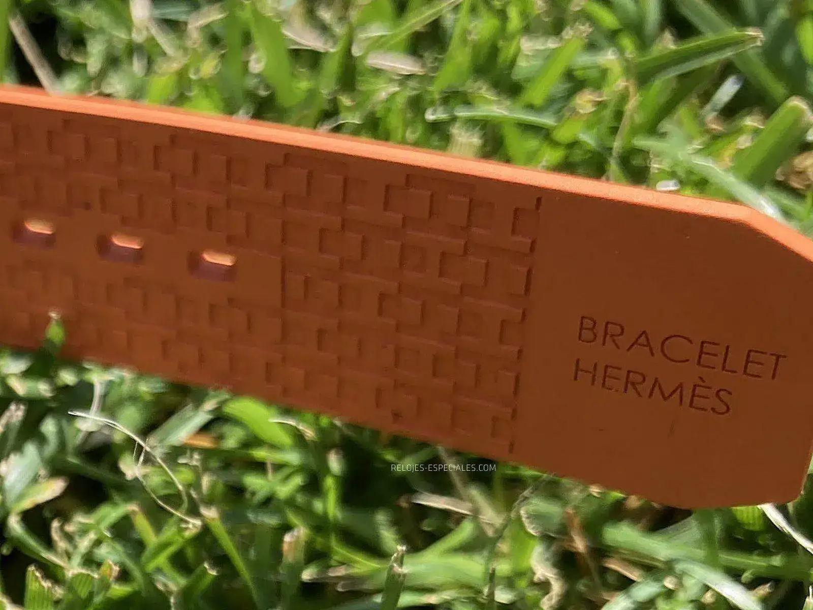 Hermes_H08-14.JPG