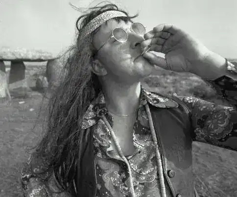 hippie.webp