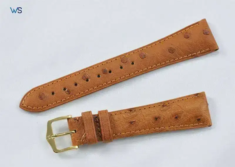 Hirsch_Ostrich_Worldstrap3.webp
