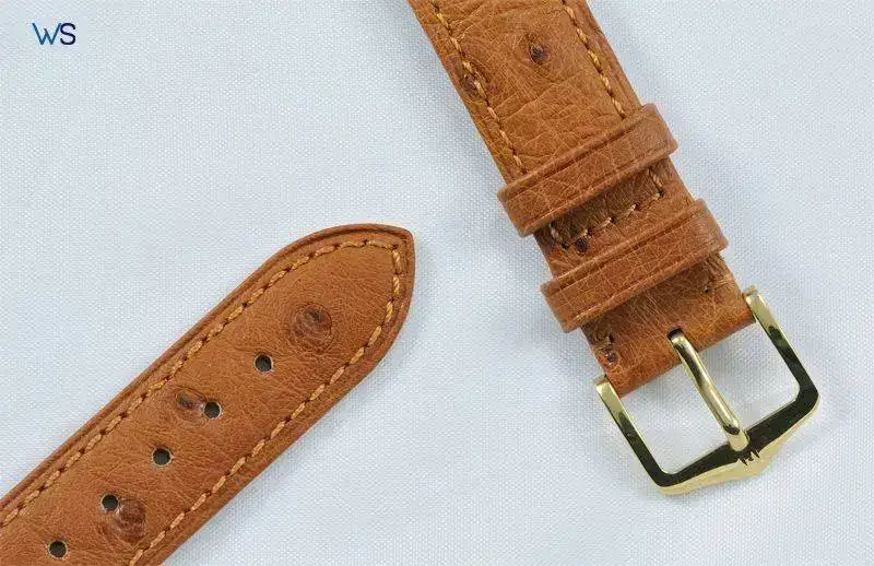 Hirsch_Ostrich_Worldstrap5.webp