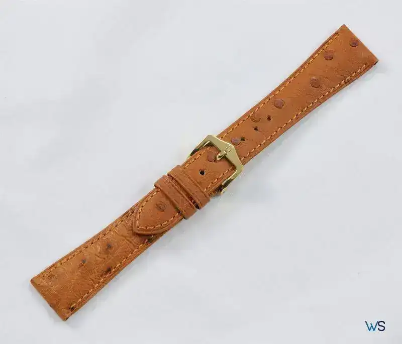 Hirsch_Ostrich_Worldstrap6.webp
