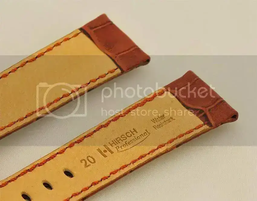HirschProfessional2okweb.webp