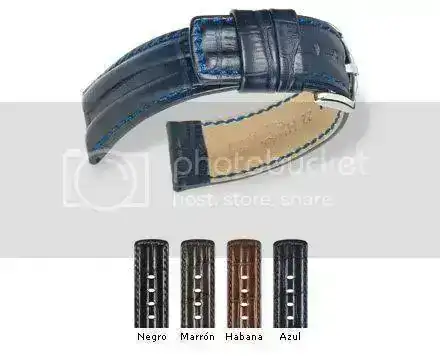 HirschProfessionalCatalogo.webp