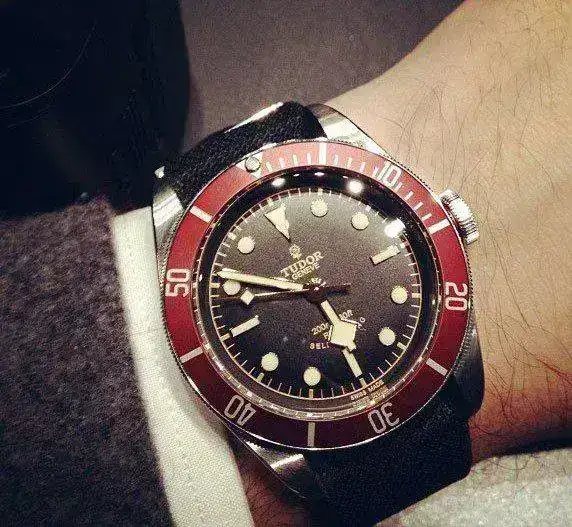 hodinkee_wristtudor.webp