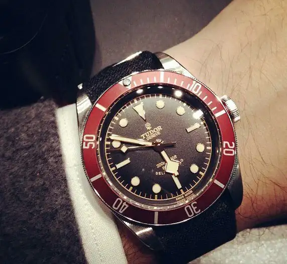 hodinkee_wristtudor.webp