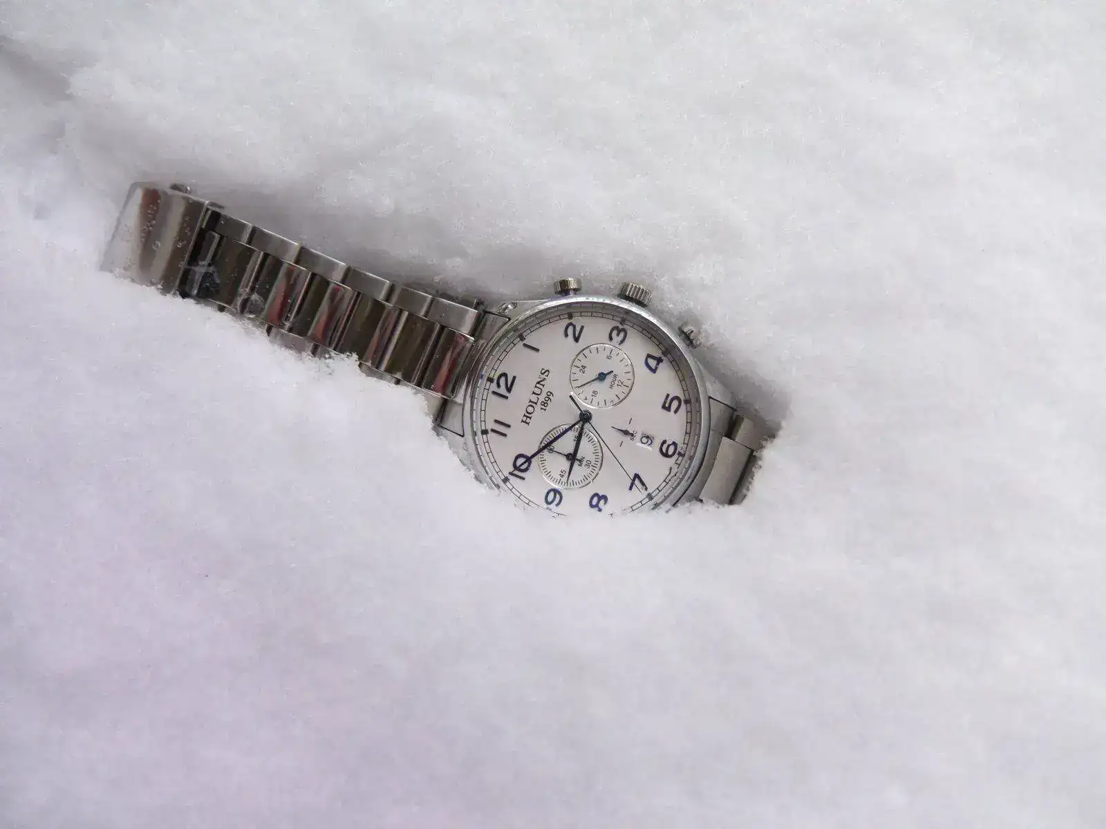Holuns en nieve.webp