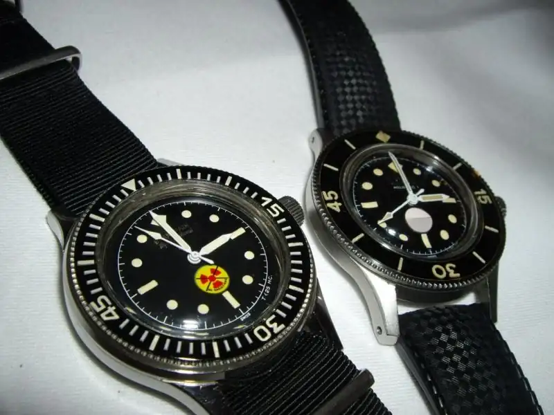 home_image.1219151.webp