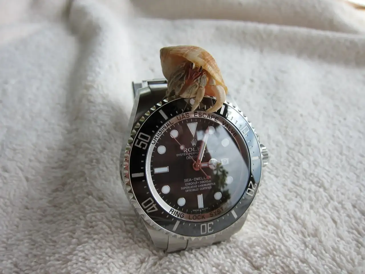 home_image.2431333.webp