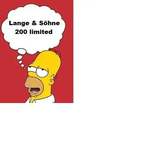 homer.webp