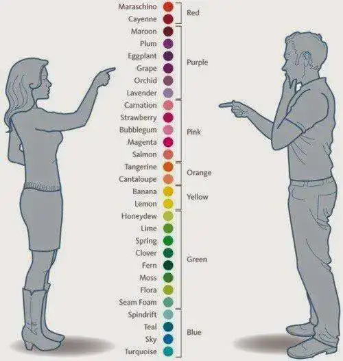 how_men_and_women_see_colors.webp