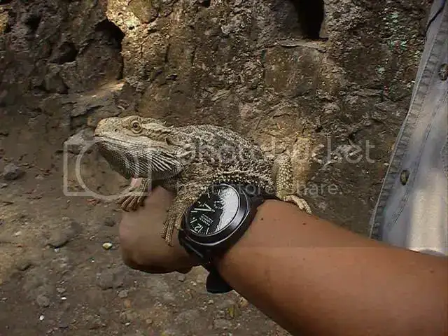 HPNX0043.webp