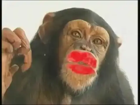 hqdefault.webp