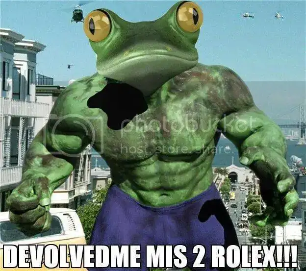 Hulk%20frog%20meme_zps2jabtoxg.webp