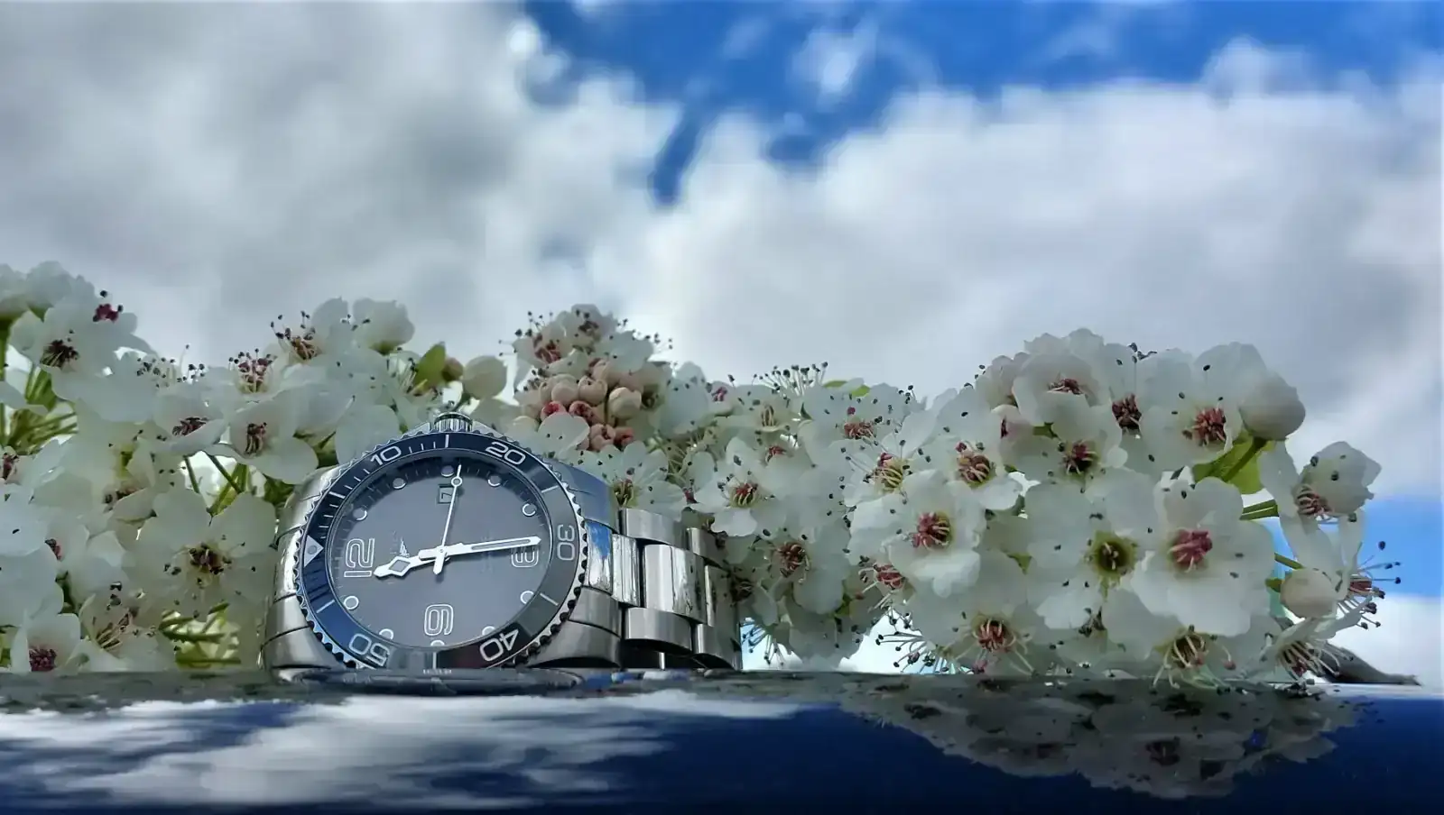 HYD20230327_115121.webp