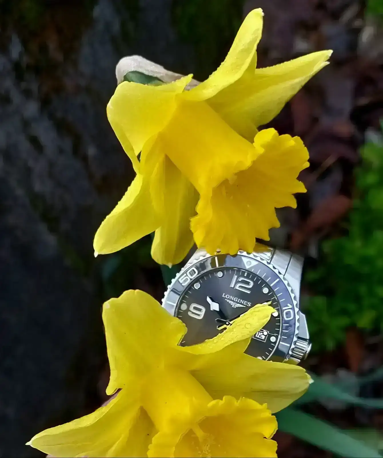 HYD20250206_100631 (1).webp