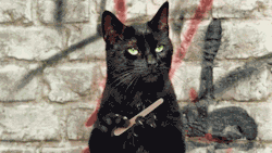 I1uZ.gif