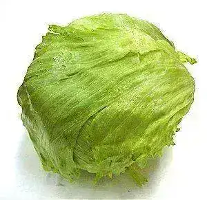 iceberg-safe_2491_st.webp