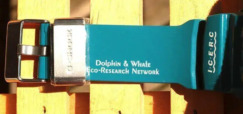 ICERC2012_39.webp