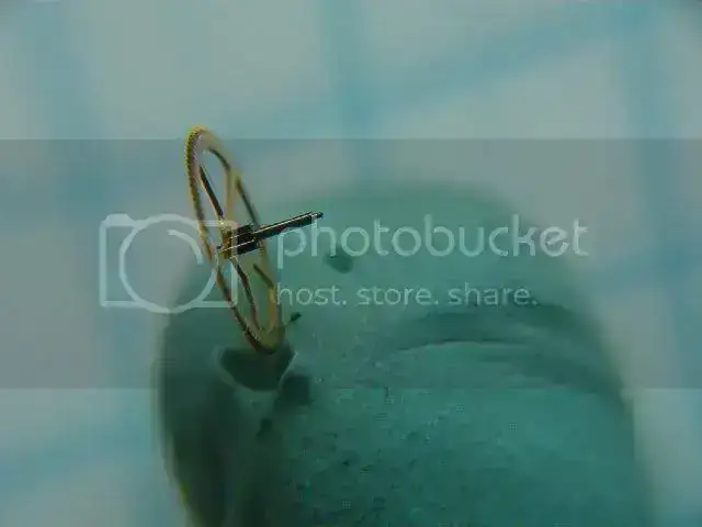 IM001847.webp