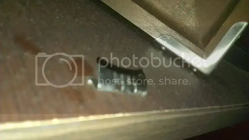 IMAG0193.webp