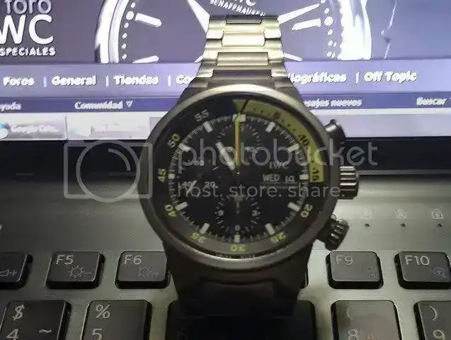 IMAG0255b.webp