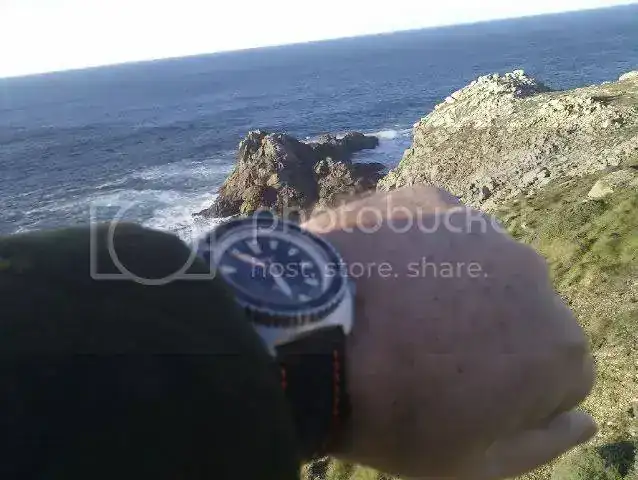 IMAG0304.webp