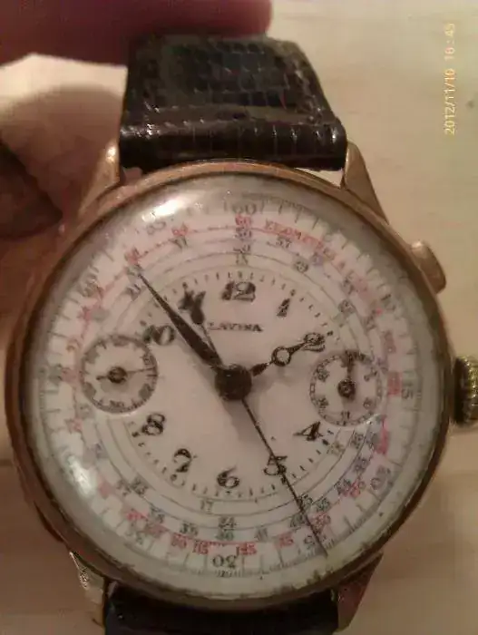 IMAG0306.webp
